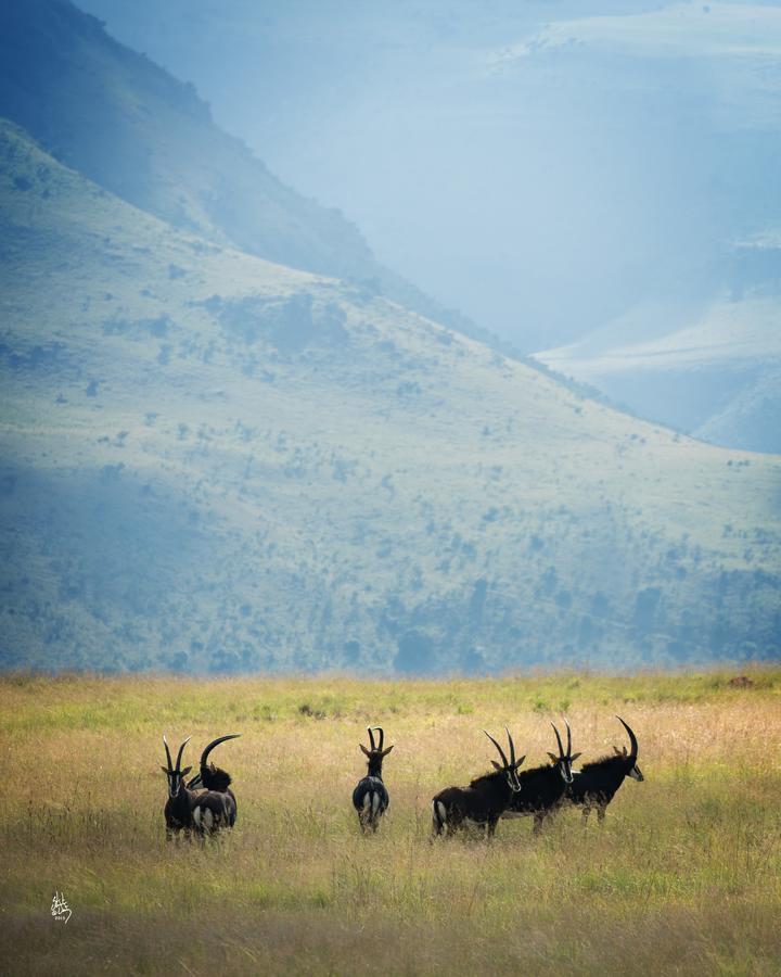 Mount High Luxury Country Estate Villa Lydenburg Buitenkant foto