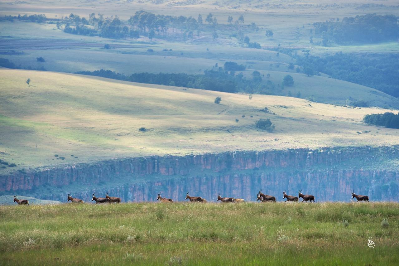 Mount High Luxury Country Estate Villa Lydenburg Buitenkant foto